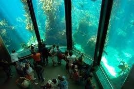Acuario de la Bahía de Monterey